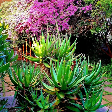 Holiday home Garden House Pompei Vesuvio